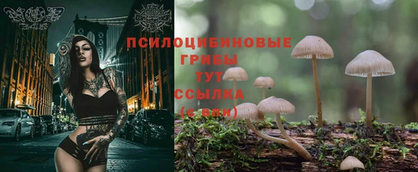синтетический гашиш Покачи