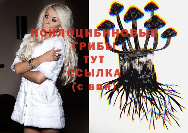 меф Медвежьегорск