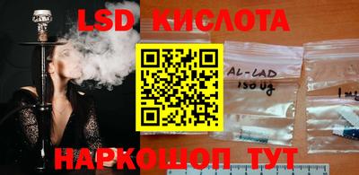сатива Беслан