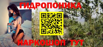 прущий лед Будённовск