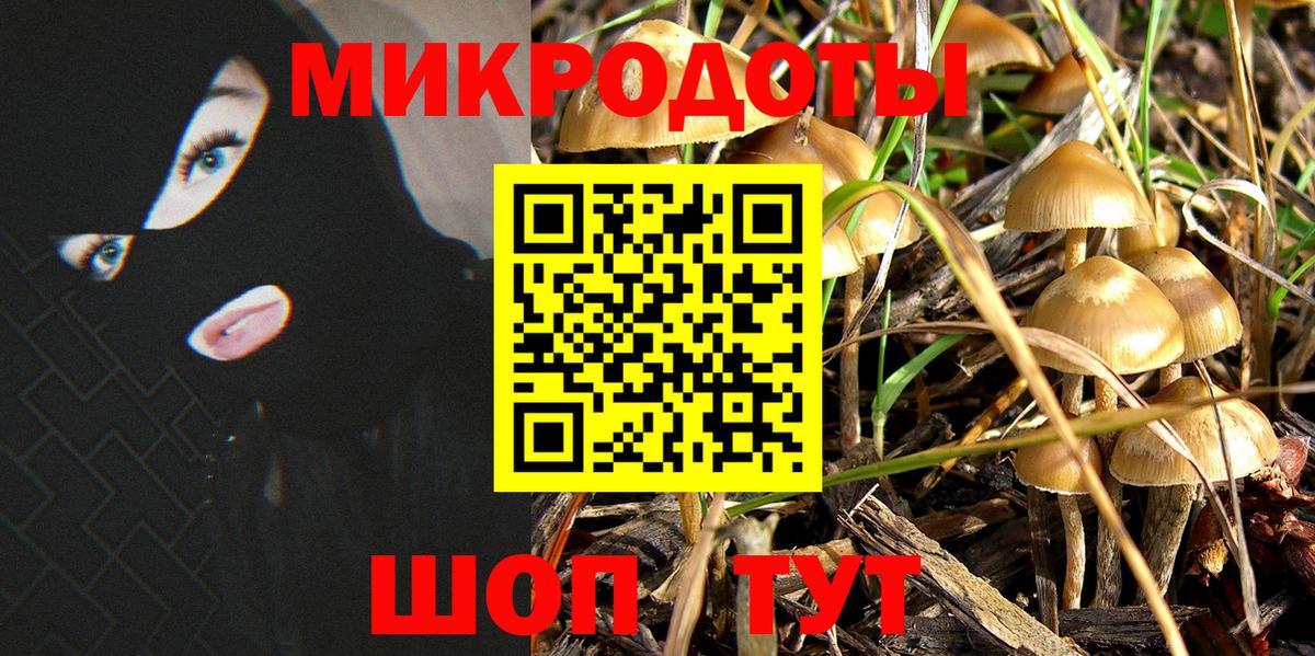 как найти наркотики  Псилоцибиновые грибы Psilocybine cubensis  Ялуторовск  Галлюциногенные грибы MAGIC MUSHROOMS 
