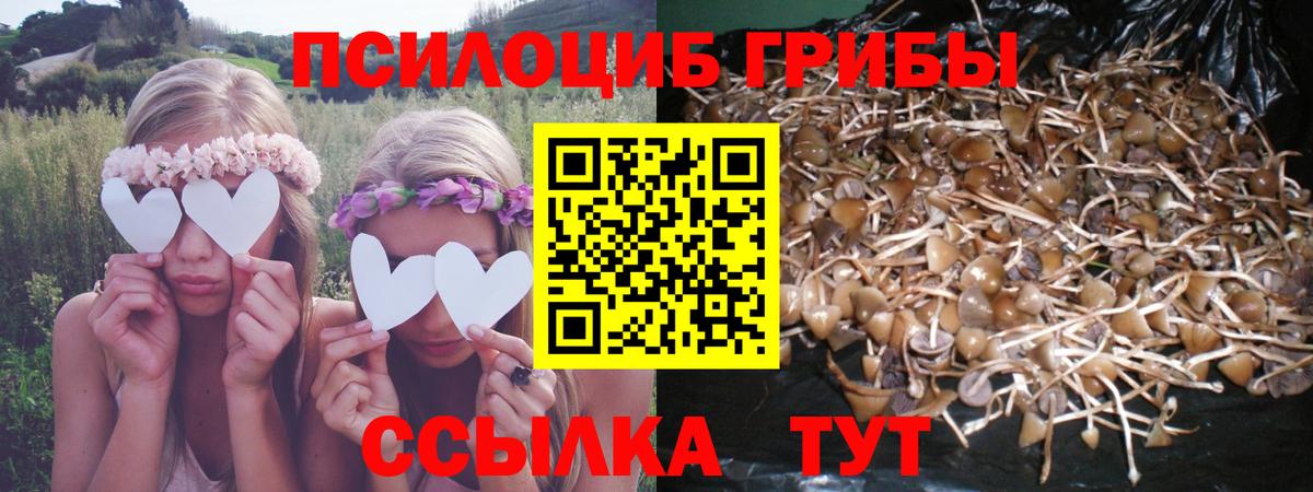 Ялуторовск  Галлюциногенные грибы Psilocybe  Псилоцибиновые грибы мицелий  Вход с VPN 